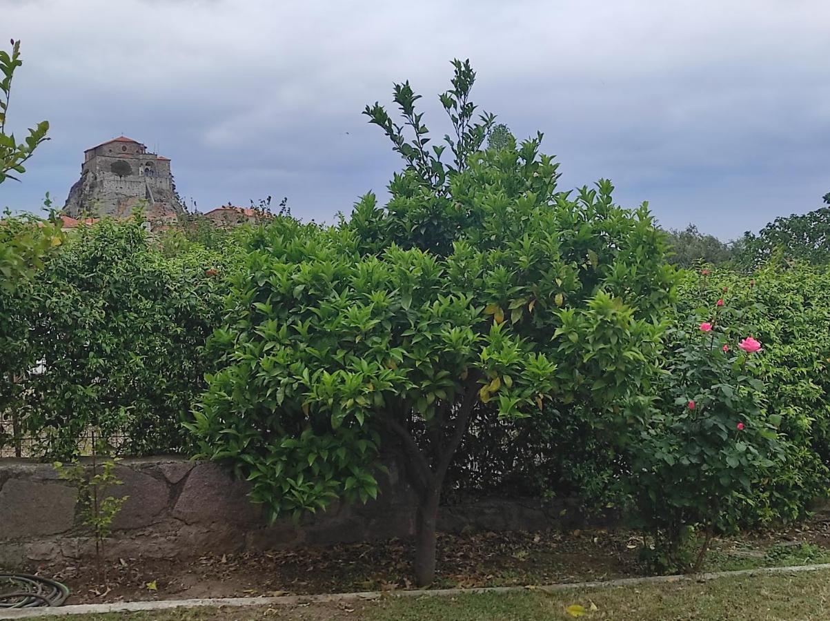 Villa Petra House Esterno foto